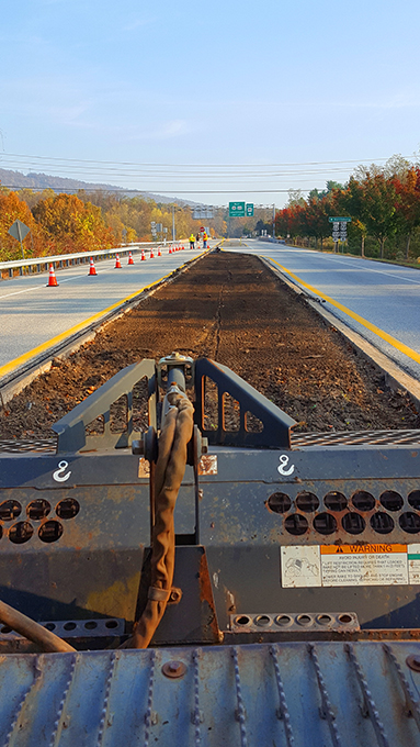 Commercial landscape planting