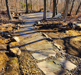 Natural Flagstone Patio in the Woods